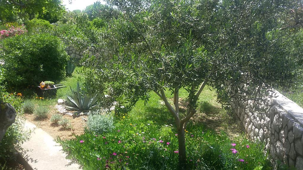 Bed & Breakfast Jugo Novalja Dış mekan fotoğraf