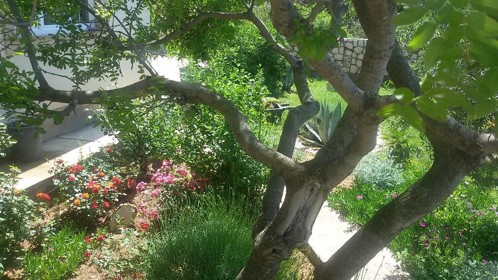 Bed & Breakfast Jugo Novalja Dış mekan fotoğraf